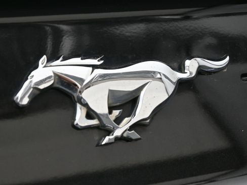 Used 2022 Ford Mustang Premium w/ Equipment Group 201A image 14