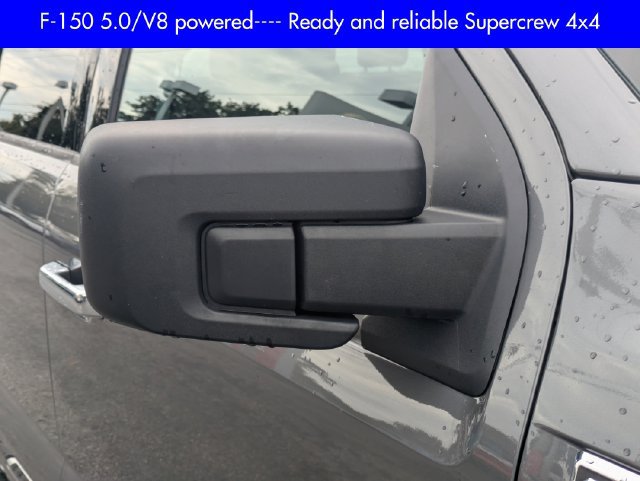 Used 2025 Ford F150 XLT w/ Equipment Group 301A Standard AWD/4WD image 12