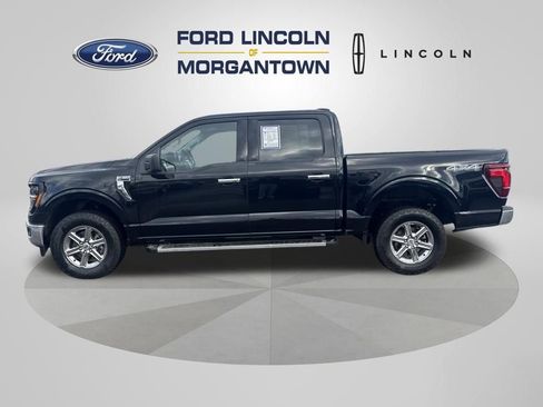 Used 2025 Ford F150 XLT w/ Equipment Group 301A Standard image 1