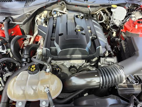 Used 2019 Ford Mustang Coupe w/ Equipment Group 101A image 24