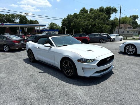 Used 2019 Ford Mustang Premium image 15
