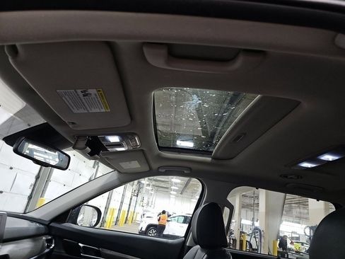 Used 2022 Kia Telluride EX w/ EX Premium Package image 5