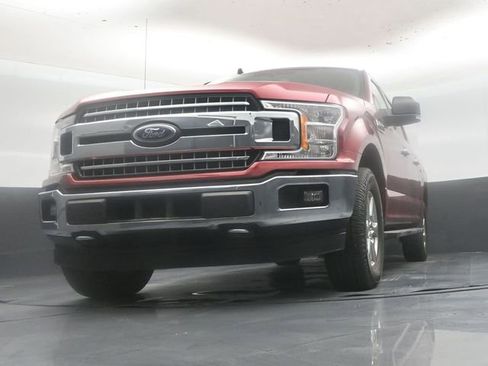 Used 2019 Ford F150 XLT w/ Equipment Group 302A Luxury AWD/4WD image 43