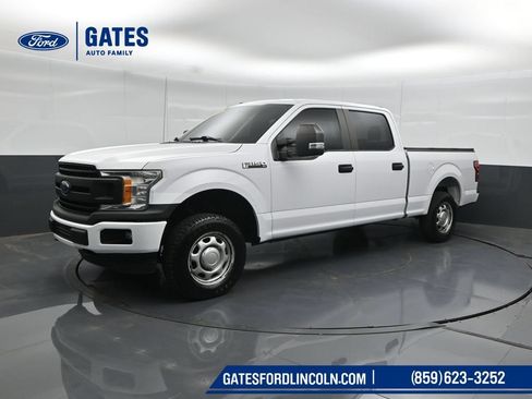 Used 2019 Ford F150 XL w/ Equipment Group 101A Mid AWD/4WD image 6