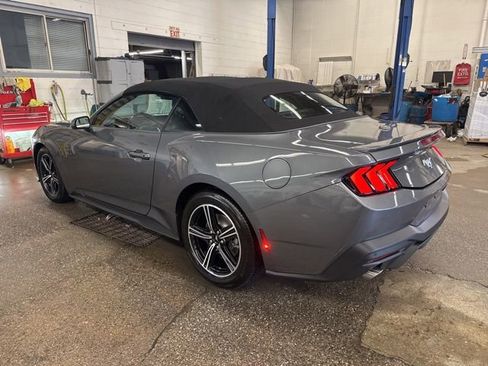 Used 2025 Ford Mustang Premium RWD image 4