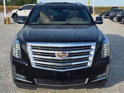 Used 2019 Cadillac Escalade Platinum AWD/4WD image 8