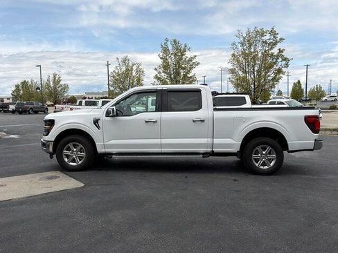 Used 2024 Ford F150 XLT w/ Equipment Group 302A MID AWD/4WD image 6