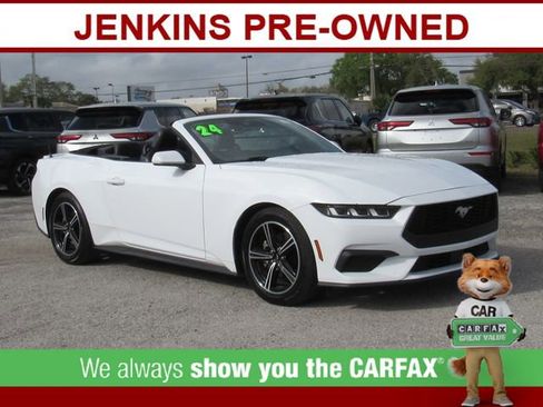 Used 2024 Ford Mustang Premium image 1