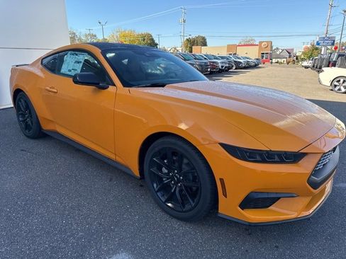 New 2026 Ford Mustang EcoBoost w/ Mustang Nite Pony Package image 4