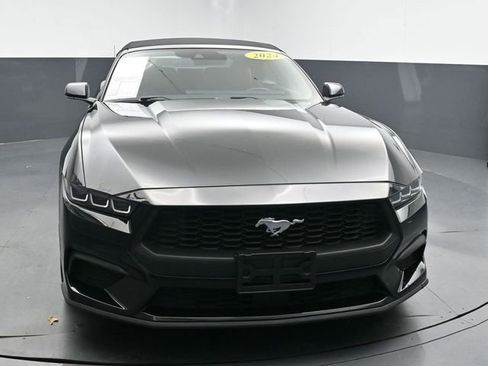 Used 2024 Ford Mustang Premium RWD image 3