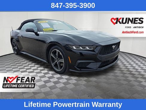 Used 2024 Ford Mustang EcoBoost image 1