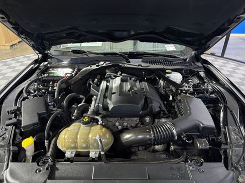Used 2019 Ford Mustang Premium RWD image 31