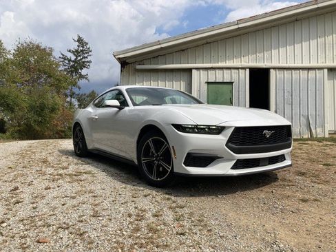 New 2025 Ford Mustang Premium RWD image 2