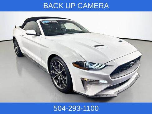 Used 2019 Ford Mustang Premium w/ Equipment Group 201A RWD image 4
