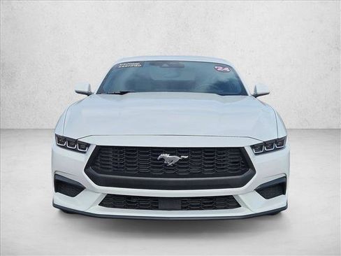 Used 2024 Ford Mustang EcoBoost image 2