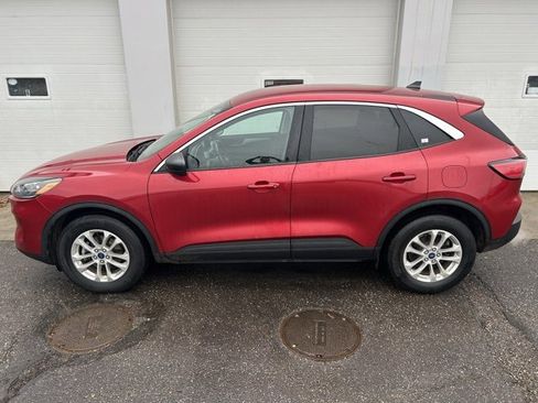 Used 2022 Ford Escape SE w/ Convenience Package image 3