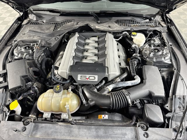 Used 2016 Ford Mustang GT Premium w/ Enhanced Security Package RWD image 36