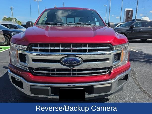 Used 2019 Ford F150 XLT w/ Equipment Group 302A Luxury RWD image 3