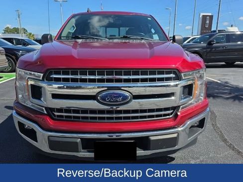 Used 2019 Ford F150 XLT w/ Equipment Group 302A Luxury RWD image 3