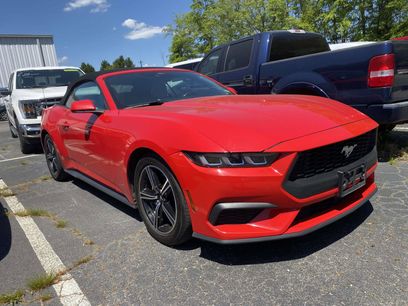 Used 2024 Ford Mustang Premium