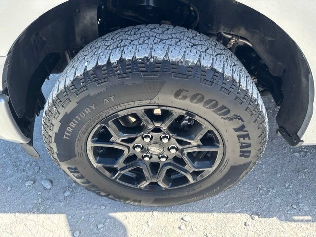 Used 2024 Ford F150 XLT w/ Equipment Group 302A MID AWD/4WD image 18