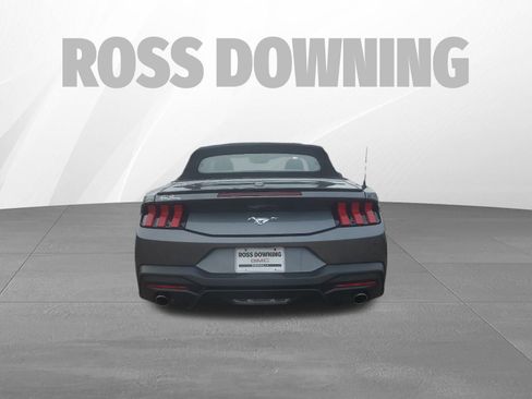 Used 2024 Ford Mustang Premium image 6