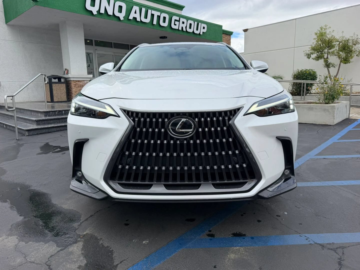 Used 2025 Lexus NX 350h AWD w/ Cold Area Package image 3