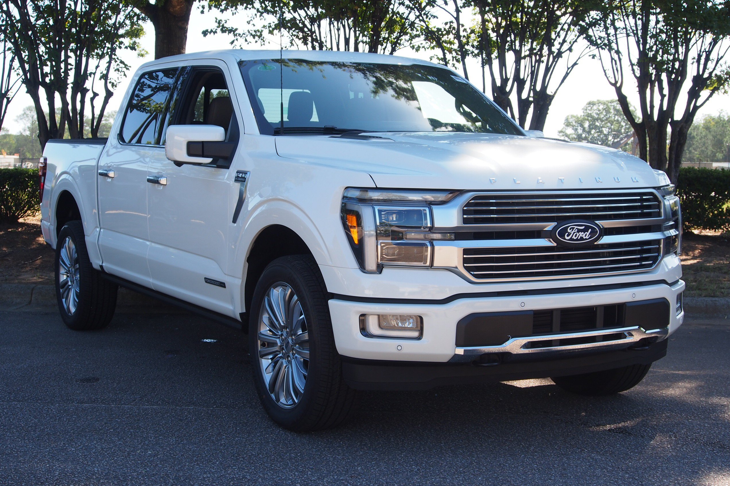 New 2026 Ford F150 Platinum w/ Equipment Group 703A Plus AWD/4WD image 1