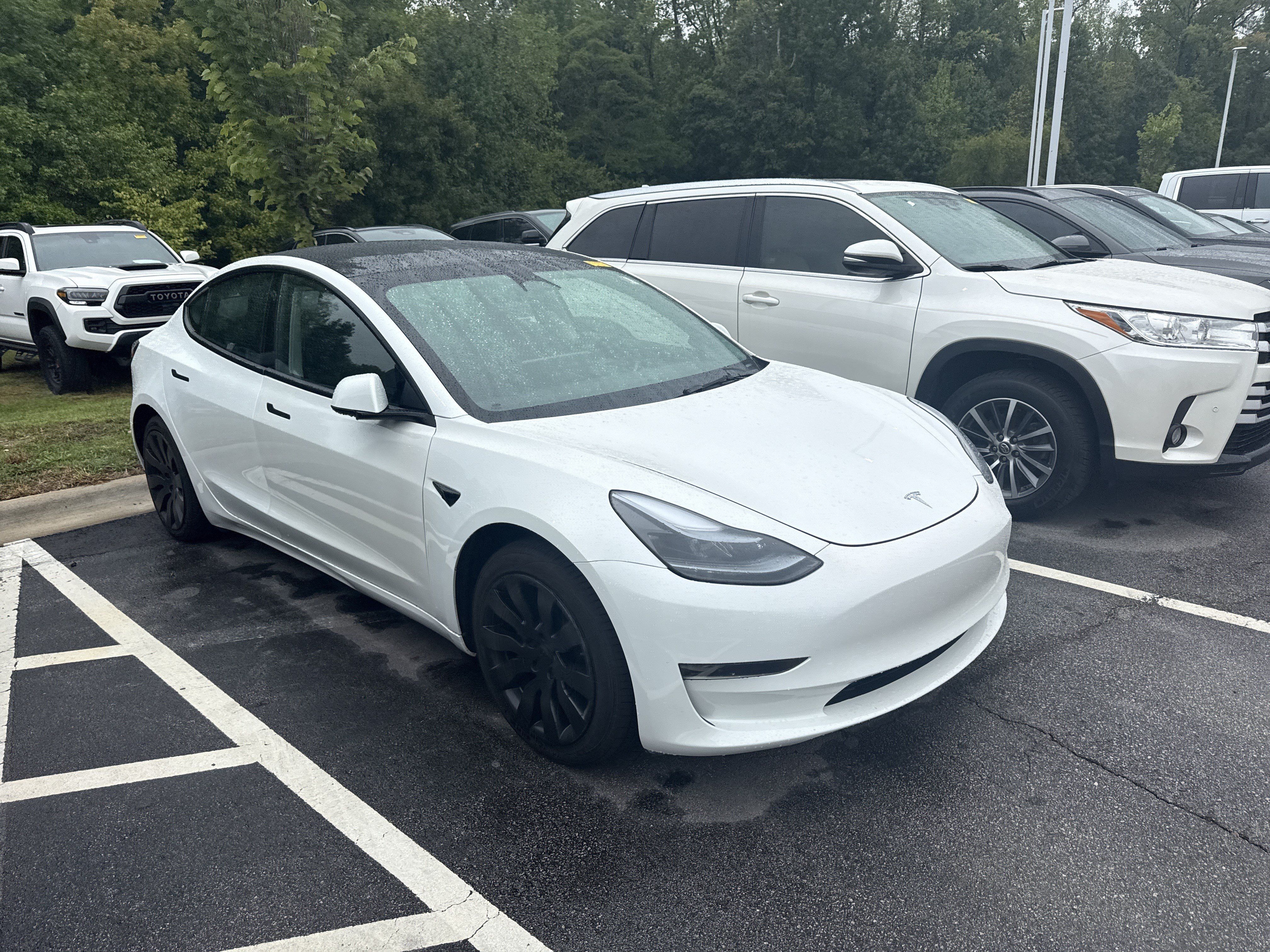 Used 2023 Tesla Model 3 Standard Range RWD image 5