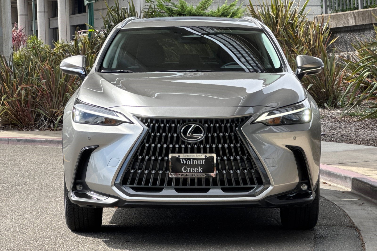 Used 2024 Lexus NX 350h AWD image 6