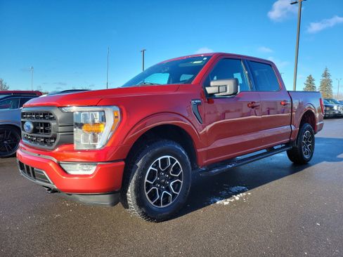 Used 2023 Ford F150 XLT w/ Equipment Group 302A High image 2