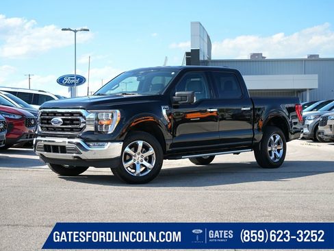 Used 2022 Ford F150 XLT w/ Equipment Group 302A High AWD/4WD image 1