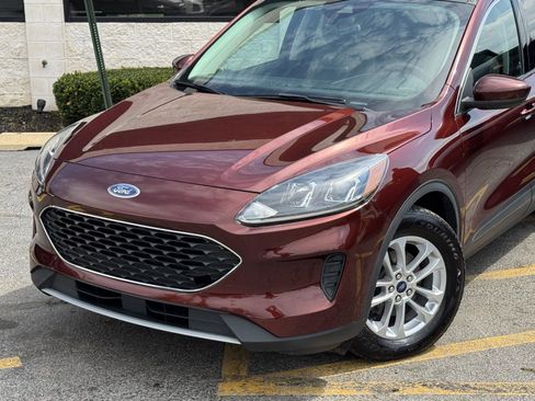 Used 2021 Ford Escape SE w/ Cold Weather Package FWD image 4