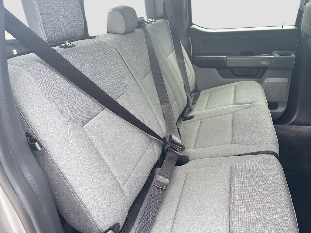 Used 2024 Ford F150 XLT w/ Equipment Group 303A High RWD image 28