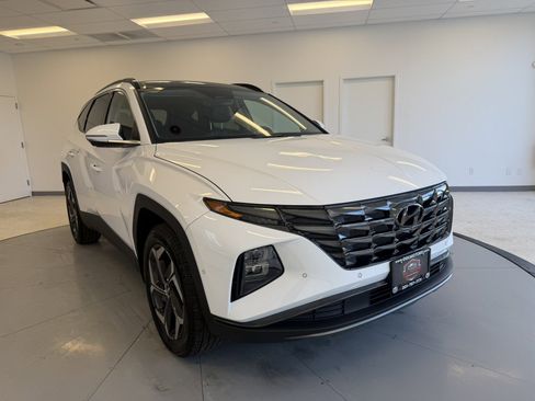 Used 2023 Hyundai Tucson Limited image 1