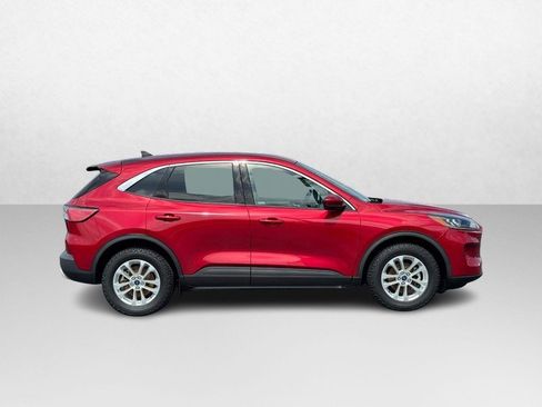 Used 2020 Ford Escape SE AWD/4WD image 2