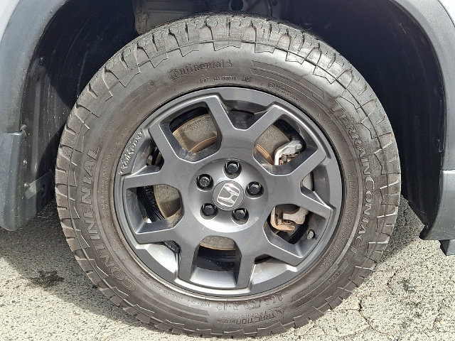 Certified 2024 Honda Pilot TrailSport image 8