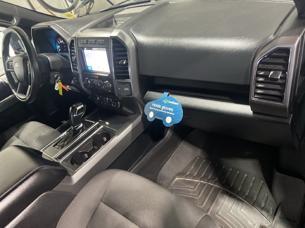 Used 2019 Ford F150 XLT w/ Equipment Group 302A Luxury AWD/4WD image 28