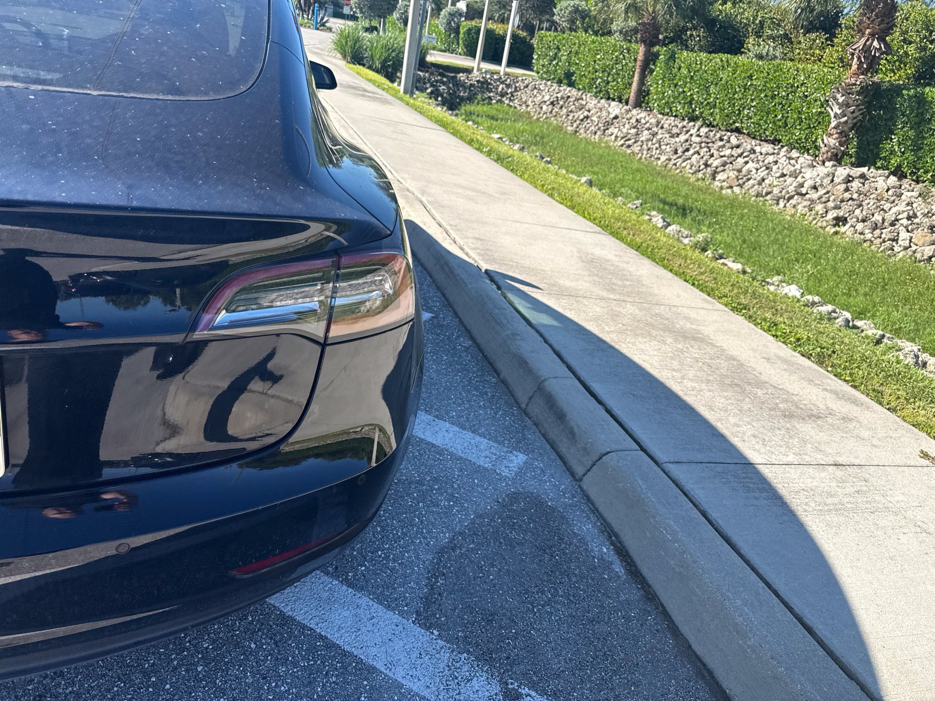 Used 2021 Tesla Model 3 Standard Range Plus RWD image 12