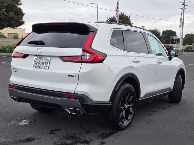 Certified 2024 Honda CR-V Sport image 4
