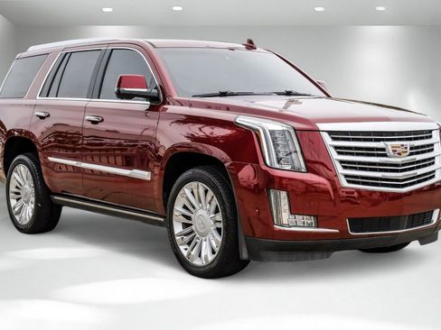 Used 2019 Cadillac Escalade Platinum image 6