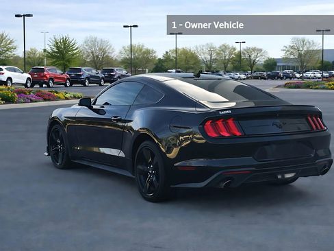 Used 2022 Ford Mustang EcoBoost Coupe 2D w/ Equipment Group 101A image 3