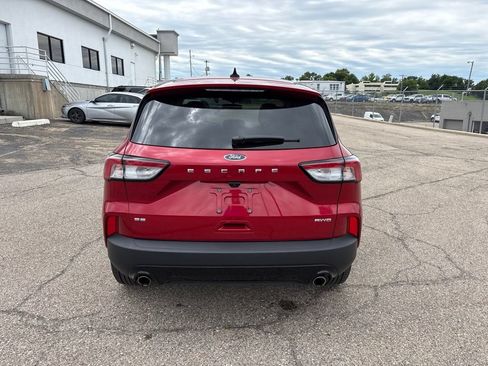 Used 2022 Ford Escape SE w/ SE Sport Appearance Package AWD/4WD image 6