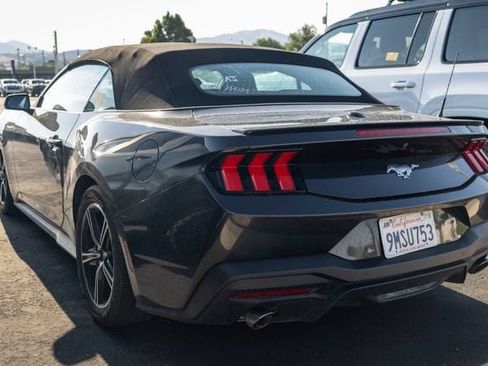 Used 2024 Ford Mustang Premium RWD image 3