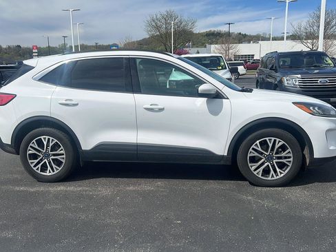 Used 2020 Ford Escape SEL AWD/4WD image 4