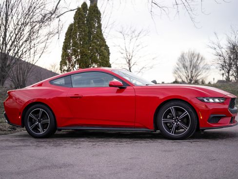 Used 2024 Ford Mustang EcoBoost image 4