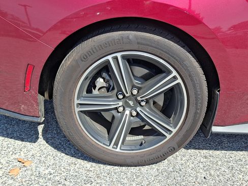 Used 2025 Ford Mustang Coupe RWD image 12