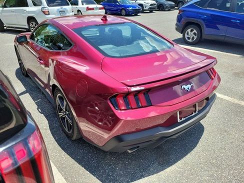 Used 2025 Ford Mustang Premium RWD image 6