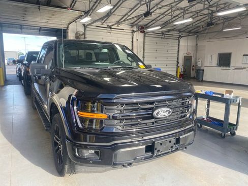 Used 2024 Ford F150 XLT w/ Equipment Group 303A High AWD/4WD image 1
