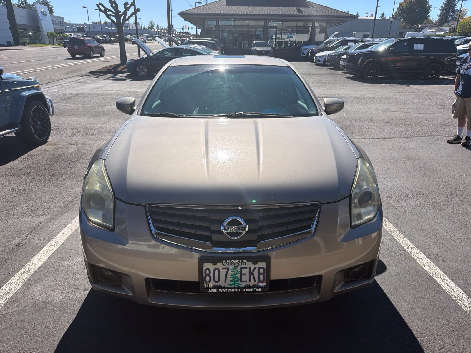 Used 2007 Nissan Maxima 3.5 SE FWD image 5